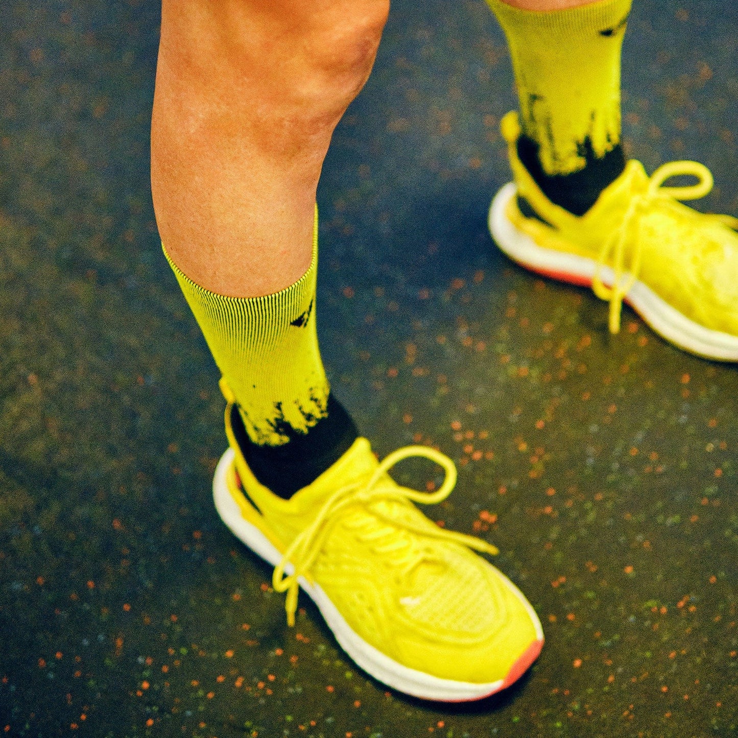 Neptune Yellow Black Long
